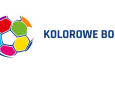 Jak głosowali internauci w konkursie "Kolorowe Boiska"