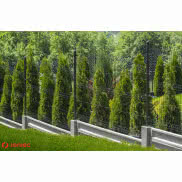 Deski betonowe